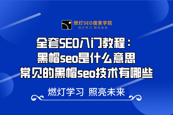 6、黑帽SEO是什么意思?常见的黑帽SEO技术有哪些?-金闪闪上海SEO博客