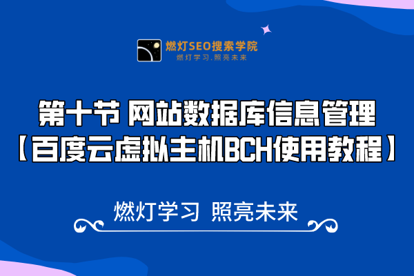 10、 网站数据库信息管理-金闪闪上海SEO博客