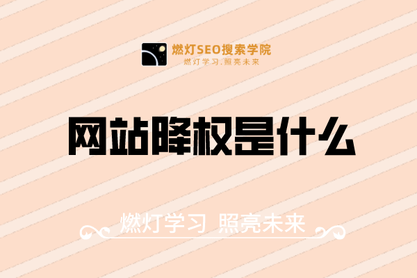 网站降权是什么-金闪闪上海SEO博客