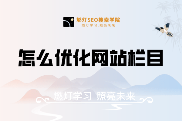 怎么优化网站栏目-金闪闪上海SEO博客