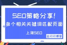 多个相关关键词匹配页面,SEO策略分享!-金闪闪上海SEO博客