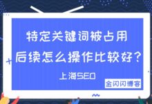 特定关键词被占用,后续怎么操作比较好?-金闪闪上海SEO博客